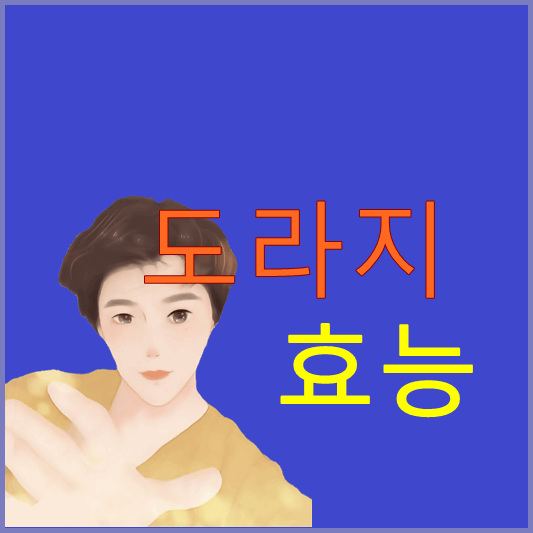 도라지-효능