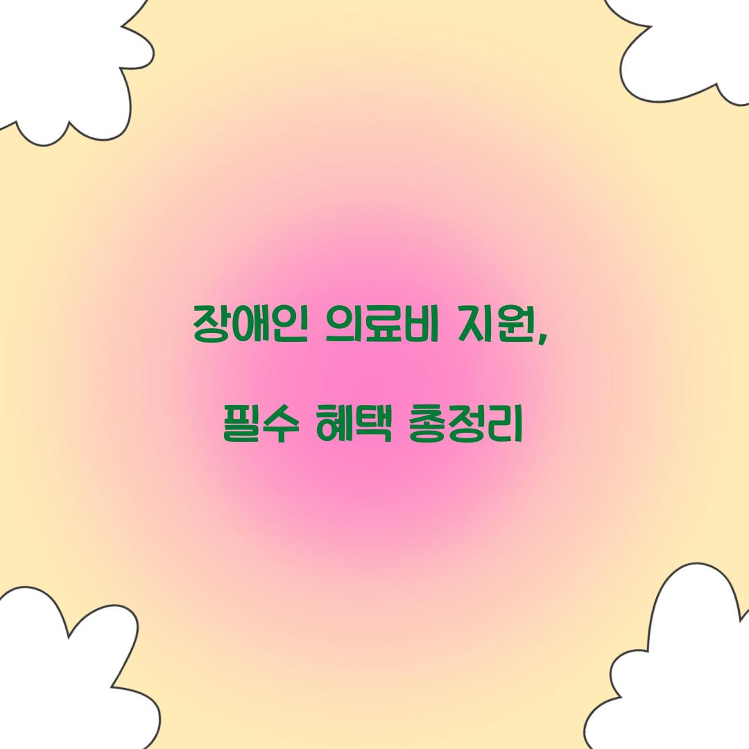 장애인 의료비 지원