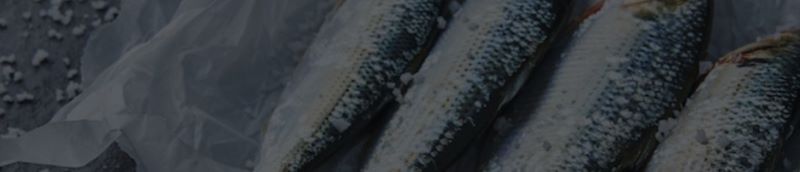 생선이미지 < 출처 : 카카오페이 >