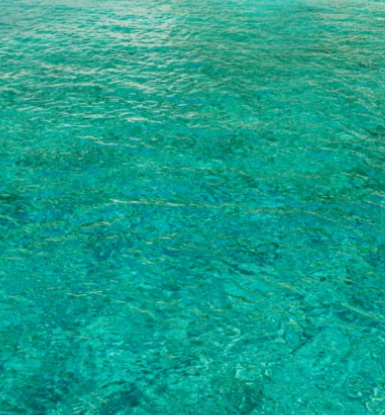 물을 보는 꿈해몽