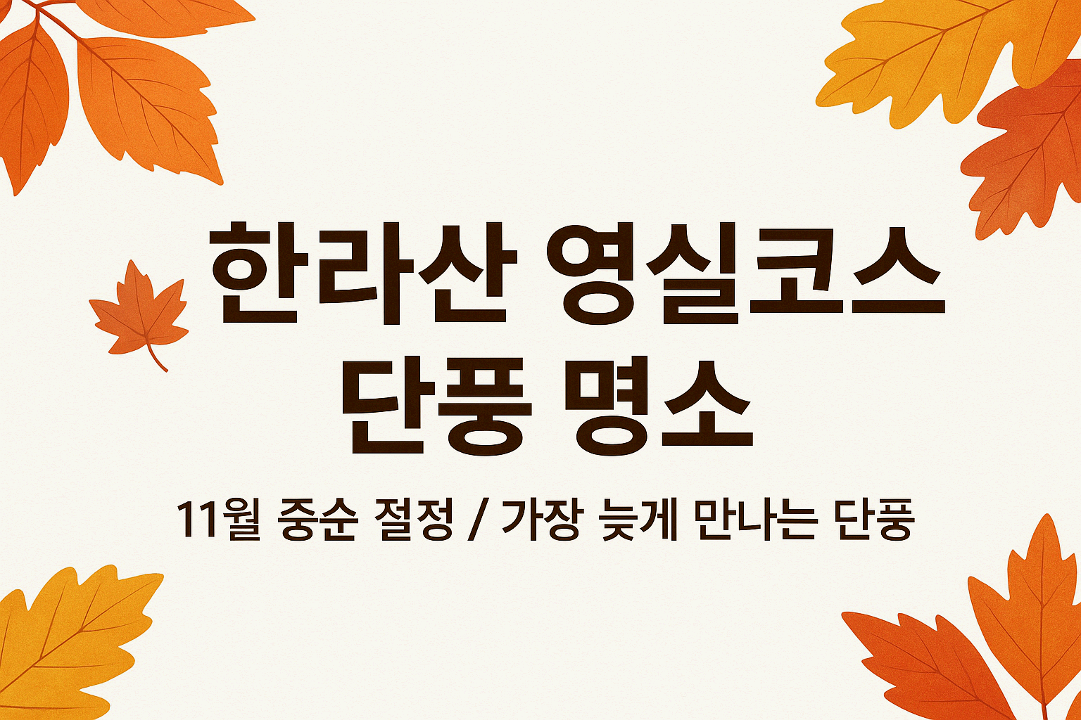 단풍 구경가볼만한곳