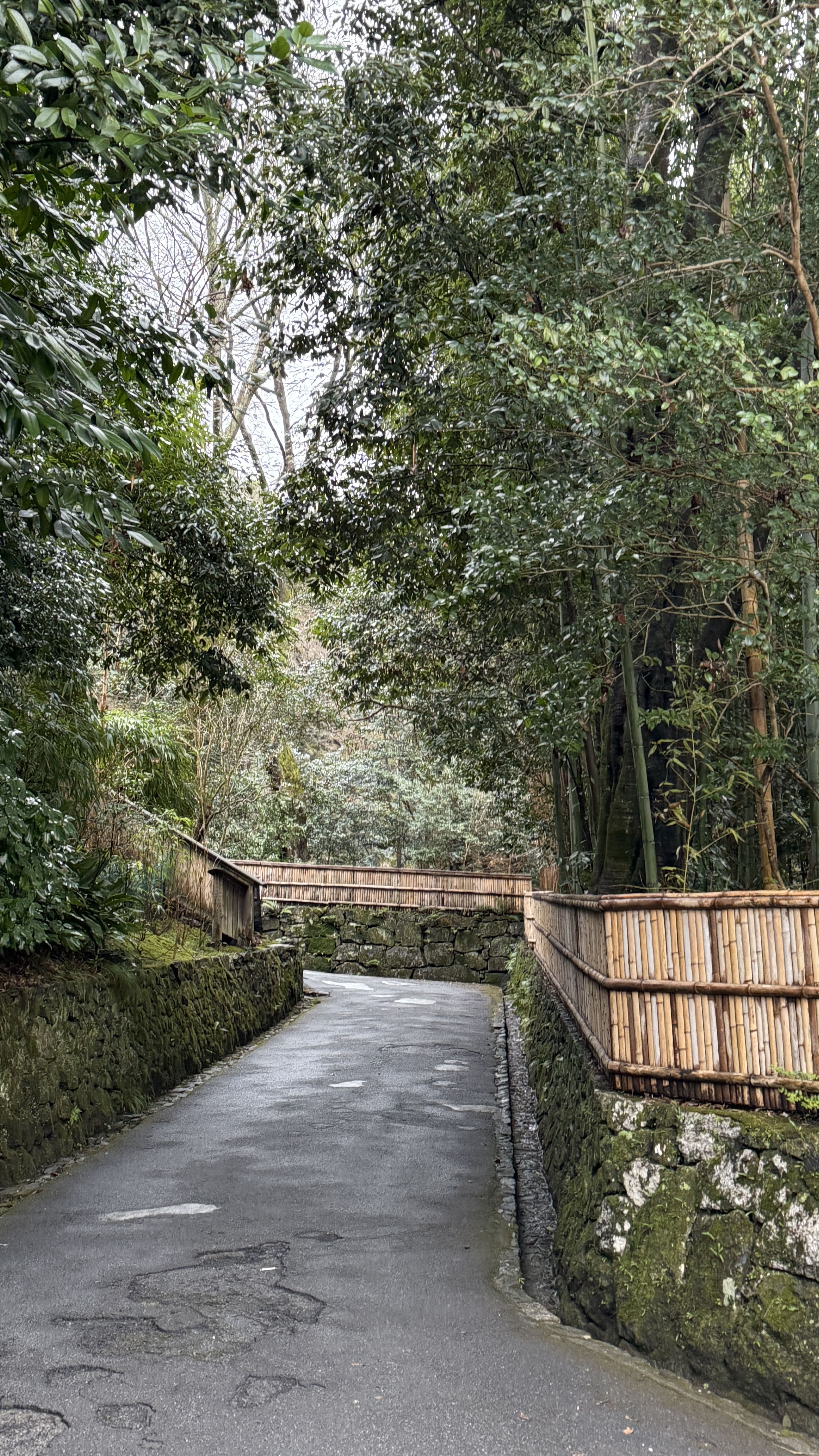 교토-꼭-가봐야-할-곳-교토-은각사-긴카쿠지- 철학의-길-조용한-산책-코스-추천