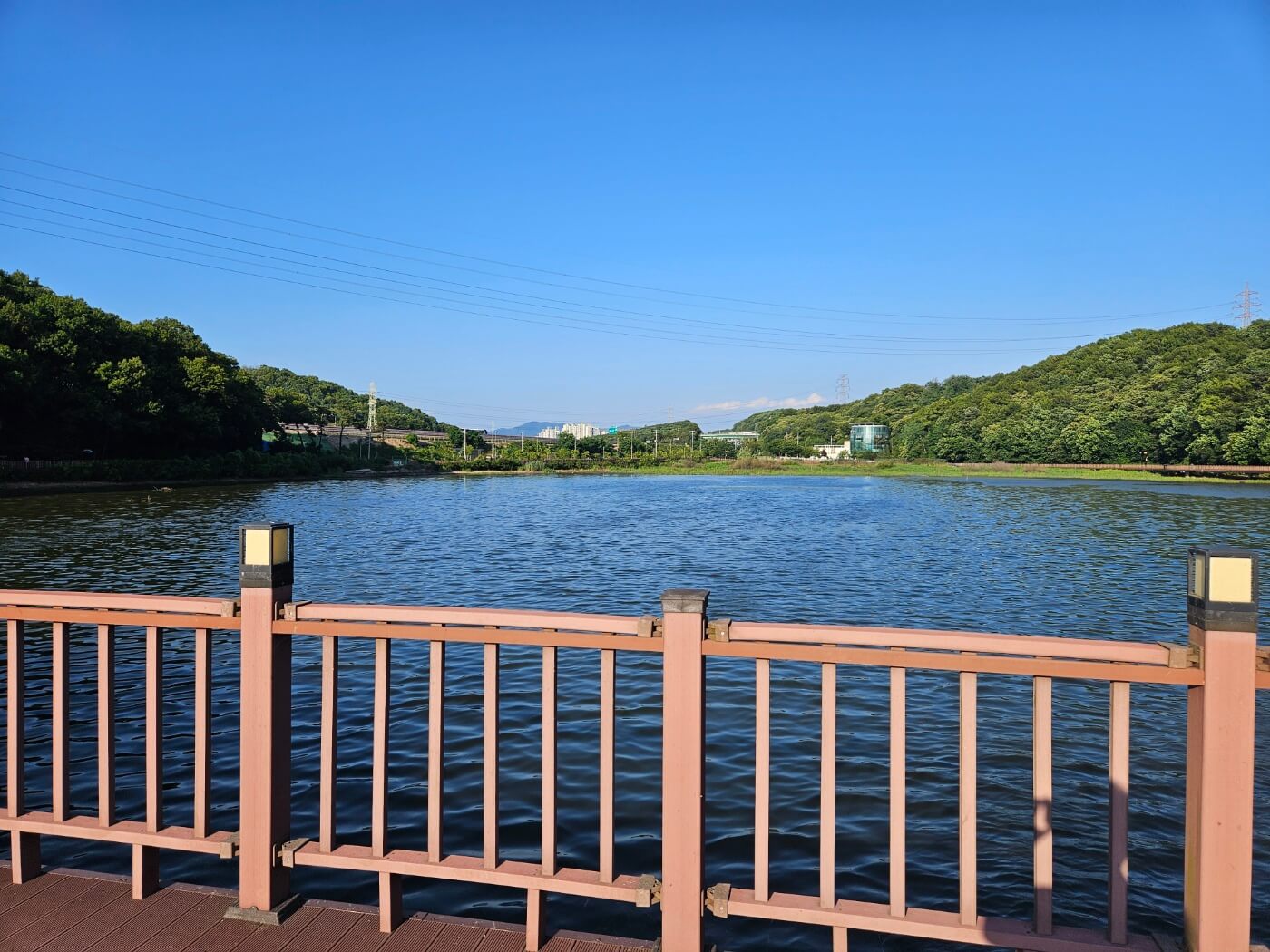 반월호수 카페 온도 호수 풍경 (2)