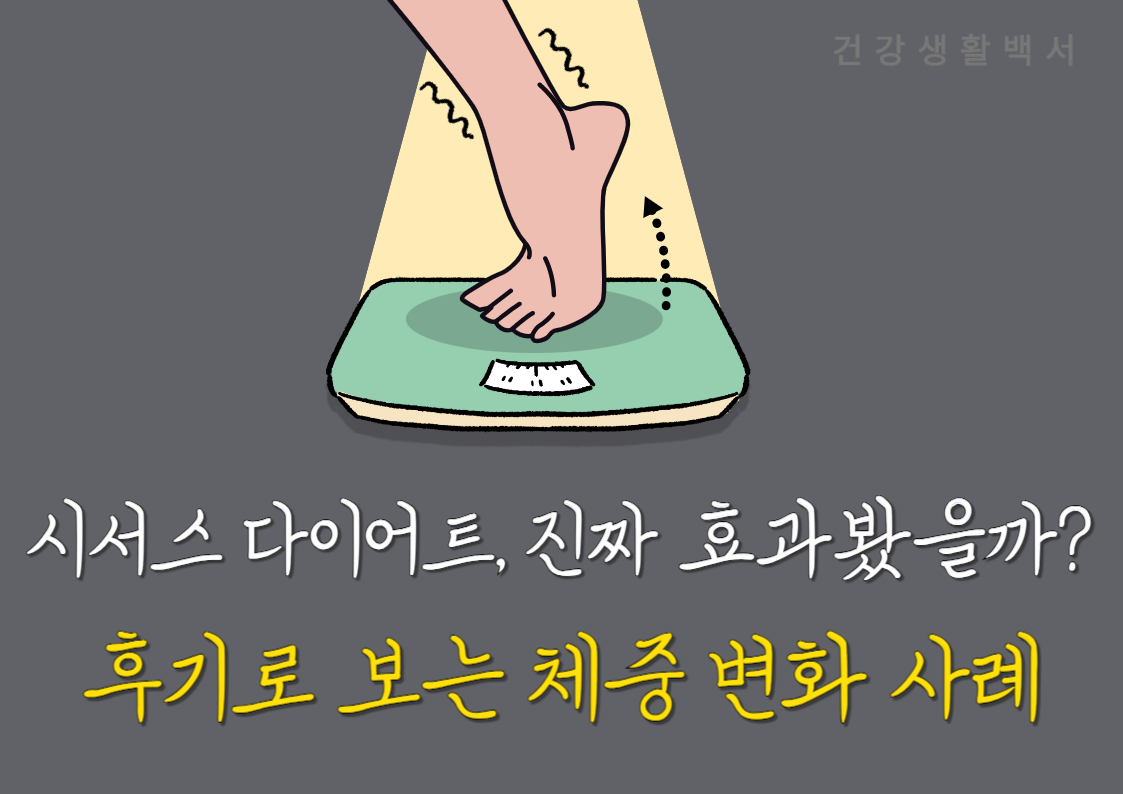 시서스 다이어트 후기