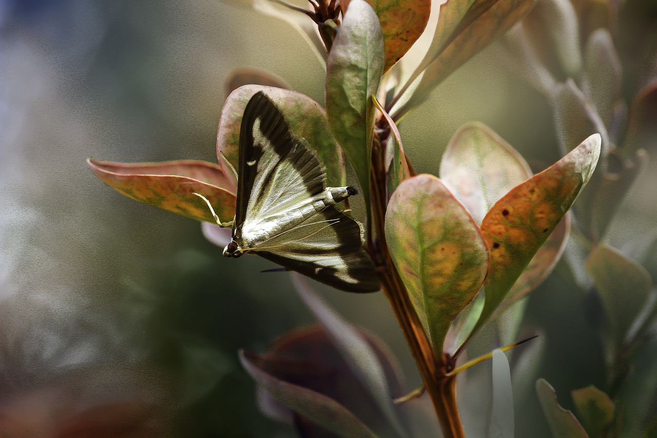 러브 버그 퇴치방법, 러브 버그 익충, 러브 버그 시기, 러브 버그 모기, 러브 버그 방역, 러브 버그 퇴치법, 러브 버그 수명, 러브 버그 천적, 러브 버그 살충제, 러브 버그 출몰, 러브버그퇴치익충, 러브 버그 출몰지역, 러브버그 익충 이유, 러브버그 퇴치제, 러브버그 출몰 시기, 러브버그 원산지, 러브 버그 퇴치방법, 러브 버그 익충, 러브 버그 시기, 러브 버그 모기, 러브 버그 방역, 러브 버그 퇴치법, 러브 버그 수명, 러브 버그 천적, 러브 버그 살충제, 러브 버그 출몰, 러브버그퇴치익충, 러브 버그 출몰지역, 러브버그 익충 이유, 러브버그 퇴치제, 러브버그 출몰 시기, 러브버그 원산지, 러브 버그 퇴치방법, 러브 버그 익충, 러브 버그 시기, 러브 버그 모기, 러브 버그 방역, 러브 버그 퇴치법, 러브 버그 수명, 러브 버그 천적, 러브 버그 살충제, 러브 버그 출몰, 러브버그퇴치익충, 러브 버그 출몰지역, 러브버그 익충 이유, 러브버그 퇴치제, 러브버그 출몰 시기, 러브버그 원산지, 러브 버그 퇴치방법, 러브 버그 익충, 러브 버그 시기, 러브 버그 모기, 러브 버그 방역, 러브 버그 퇴치법, 러브 버그 수명, 러브 버그 천적, 러브 버그 살충제, 러브 버그 출몰, 러브버그퇴치익충, 러브 버그 출몰지역, 러브버그 익충 이유, 러브버그 퇴치제, 러브버그 출몰 시기, 러브버그 원산지, 러브 버그 퇴치방법, 러브 버그 익충, 러브 버그 시기, 러브 버그 모기, 러브 버그 방역, 러브 버그 퇴치법, 러브 버그 수명, 러브 버그 천적, 러브 버그 살충제, 러브 버그 출몰, 러브버그퇴치익충, 러브 버그 출몰지역, 러브버그 익충 이유, 러브버그 퇴치제, 러브버그 출몰 시기, 러브버그 원산지, 러브 버그 퇴치방법, 러브 버그 익충, 러브 버그 시기, 러브 버그 모기, 러브 버그 방역, 러브 버그 퇴치법, 러브 버그 수명, 러브 버그 천적, 러브 버그 살충제, 러브 버그 출몰, 러브버그퇴치익충, 러브 버그 출몰지역, 러브버그 익충 이유, 러브버그 퇴치제, 러브버그 출몰 시기, 러브버그 원산지, 러브 버그 퇴치방법, 러브 버그 익충, 러브 버그 시기, 러브 버그 모기, 러브 버그 방역, 러브 버그 퇴치법, 러브 버그 수명, 러브 버그 천적, 러브 버그 살충제, 러브 버그 출몰, 러브버그퇴치익충, 러브 버그 출몰지역, 러브버그 익충 이유, 러브버그 퇴치제, 러브버그 출몰 시기, 러브버그 원산지, 러브 버그 퇴치방법, 러브 버그 익충, 러브 버그 시기, 러브 버그 모기, 러브 버그 방역, 러브 버그 퇴치법, 러브 버그 수명, 러브 버그 천적, 러브 버그 살충제, 러브 버그 출몰, 러브버그퇴치익충, 러브 버그 출몰지역, 러브버그 익충 이유, 러브버그 퇴치제, 러브버그 출몰 시기, 러브버그 원산지, 러브 버그 퇴치방법, 러브 버그 익충, 러브 버그 시기, 러브 버그 모기, 러브 버그 방역, 러브 버그 퇴치법, 러브 버그 수명, 러브 버그 천적, 러브 버그 살충제, 러브 버그 출몰, 러브버그퇴치익충, 러브 버그 출몰지역, 러브버그 익충 이유, 러브버그 퇴치제, 러브버그 출몰 시기, 러브버그 원산지, 러브 버그 퇴치방법, 러브 버그 익충, 러브 버그 시기, 러브 버그 모기, 러브 버그 방역, 러브 버그 퇴치법, 러브 버그 수명, 러브 버그 천적, 러브 버그 살충제, 러브 버그 출몰, 러브버그퇴치익충, 러브 버그 출몰지역, 러브버그 익충 이유, 러브버그 퇴치제, 러브버그 출몰 시기, 러브버그 원산지, 러브 버그 퇴치방법, 러브 버그 익충, 러브 버그 시기, 러브 버그 모기, 러브 버그 방역, 러브 버그 퇴치법, 러브 버그 수명, 러브 버그 천적, 러브 버그 살충제, 러브 버그 출몰, 러브버그퇴치익충, 러브 버그 출몰지역, 러브버그 익충 이유, 러브버그 퇴치제, 러브버그 출몰 시기, 러브버그 원산지, 러브 버그 퇴치방법, 러브 버그 익충, 러브 버그 시기, 러브 버그 모기, 러브 버그 방역, 러브 버그 퇴치법, 러브 버그 수명, 러브 버그 천적, 러브 버그 살충제, 러브 버그 출몰, 러브버그퇴치익충, 러브 버그 출몰지역, 러브버그 익충 이유, 러브버그 퇴치제, 러브버그 출몰 시기, 러브버그 원산지, 러브 버그 퇴치방법, 러브 버그 익충, 러브 버그 시기, 러브 버그 모기, 러브 버그 방역, 러브 버그 퇴치법, 러브 버그 수명, 러브 버그 천적, 러브 버그 살충제, 러브 버그 출몰, 러브버그퇴치익충, 러브 버그 출몰지역, 러브버그 익충 이유, 러브버그 퇴치제, 러브버그 출몰 시기, 러브버그 원산지, 러브 버그 퇴치방법, 러브 버그 익충, 러브 버그 시기, 러브 버그 모기, 러브 버그 방역, 러브 버그 퇴치법, 러브 버그 수명, 러브 버그 천적, 러브 버그 살충제, 러브 버그 출몰, 러브버그퇴치익충, 러브 버그 출몰지역, 러브버그 익충 이유, 러브버그 퇴치제, 러브버그 출몰 시기, 러브버그 원산지, 러브 버그 퇴치방법, 러브 버그 익충, 러브 버그 시기, 러브 버그 모기, 러브 버그 방역, 러브 버그 퇴치법, 러브 버그 수명, 러브 버그 천적, 러브 버그 살충제, 러브 버그 출몰, 러브버그퇴치익충, 러브 버그 출몰지역, 러브버그 익충 이유, 러브버그 퇴치제, 러브버그 출몰 시기, 러브버그 원산지, 러브 버그 퇴치방법, 러브 버그 익충, 러브 버그 시기, 러브 버그 모기, 러브 버그 방역, 러브 버그 퇴치법, 러브 버그 수명, 러브 버그 천적, 러브 버그 살충제, 러브 버그 출몰, 러브버그퇴치익충, 러브 버그 출몰지역, 러브버그 익충 이유, 러브버그 퇴치제, 러브버그 출몰 시기, 러브버그 원산지, 러브 버그 퇴치방법, 러브 버그 익충, 러브 버그 시기, 러브 버그 모기, 러브 버그 방역, 러브 버그 퇴치법, 러브 버그 수명, 러브 버그 천적, 러브 버그 살충제, 러브 버그 출몰, 러브버그퇴치익충, 러브 버그 출몰지역, 러브버그 익충 이유, 러브버그 퇴치제, 러브버그 출몰 시기, 러브버그 원산지, 러브 버그 퇴치방법, 러브 버그 익충, 러브 버그 시기, 러브 버그 모기, 러브 버그 방역, 러브 버그 퇴치법, 러브 버그 수명, 러브 버그 천적, 러브 버그 살충제, 러브 버그 출몰, 러브버그퇴치익충, 러브 버그 출몰지역, 러브버그 익충 이유, 러브버그 퇴치제, 러브버그 출몰 시기, 러브버그 원산지, 러브 버그 퇴치방법, 러브 버그 익충, 러브 버그 시기, 러브 버그 모기, 러브 버그 방역, 러브 버그 퇴치법, 러브 버그 수명, 러브 버그 천적, 러브 버그 살충제, 러브 버그 출몰, 러브버그퇴치익충, 러브 버그 출몰지역, 러브버그 익충 이유, 러브버그 퇴치제, 러브버그 출몰 시기, 러브버그 원산지, 러브 버그 퇴치방법, 러브 버그 익충, 러브 버그 시기, 러브 버그 모기, 러브 버그 방역, 러브 버그 퇴치법, 러브 버그 수명, 러브 버그 천적, 러브 버그 살충제, 러브 버그 출몰, 러브버그퇴치익충, 러브 버그 출몰지역, 러브버그 익충 이유, 러브버그 퇴치제, 러브버그 출몰 시기, 러브버그 원산지, 러브 버그 퇴치방법, 러브 버그 익충, 러브 버그 시기, 러브 버그 모기, 러브 버그 방역, 러브 버그 퇴치법, 러브 버그 수명, 러브 버그 천적, 러브 버그 살충제, 러브 버그 출몰, 러브버그퇴치익충, 러브 버그 출몰지역, 러브버그 익충 이유, 러브버그 퇴치제, 러브버그 출몰 시기, 러브버그 원산지, 러브 버그 퇴치방법, 러브 버그 익충, 러브 버그 시기, 러브 버그 모기, 러브 버그 방역, 러브 버그 퇴치법, 러브 버그 수명, 러브 버그 천적, 러브 버그 살충제, 러브 버그 출몰, 러브버그퇴치익충, 러브 버그 출몰지역, 러브버그 익충 이유, 러브버그 퇴치제, 러브버그 출몰 시기, 러브버그 원산지, 러브 버그 퇴치방법, 러브 버그 익충, 러브 버그 시기, 러브 버그 모기, 러브 버그 방역, 러브 버그 퇴치법, 러브 버그 수명, 러브 버그 천적, 러브 버그 살충제, 러브 버그 출몰, 러브버그퇴치익충, 러브 버그 출몰지역, 러브버그 익충 이유, 러브버그 퇴치제, 러브버그 출몰 시기, 러브버그 원산지, 러브 버그 퇴치방법, 러브 버그 익충, 러브 버그 시기, 러브 버그 모기, 러브 버그 방역, 러브 버그 퇴치법, 러브 버그 수명, 러브 버그 천적, 러브 버그 살충제, 러브 버그 출몰, 러브버그퇴치익충, 러브 버그 출몰지역, 러브버그 익충 이유, 러브버그 퇴치제, 러브버그 출몰 시기, 러브버그 원산지, 러브 버그 퇴치방법, 러브 버그 익충, 러브 버그 시기, 러브 버그 모기, 러브 버그 방역, 러브 버그 퇴치법, 러브 버그 수명, 러브 버그 천적, 러브 버그 살충제, 러브 버그 출몰, 러브버그퇴치익충, 러브 버그 출몰지역, 러브버그 익충 이유, 러브버그 퇴치제, 러브버그 출몰 시기, 러브버그 원산지, 러브 버그 퇴치방법, 러브 버그 익충, 러브 버그 시기, 러브 버그 모기, 러브 버그 방역, 러브 버그 퇴치법, 러브 버그 수명, 러브 버그 천적, 러브 버그 살충제, 러브 버그 출몰, 러브버그퇴치익충, 러브 버그 출몰지역, 러브버그 익충 이유, 러브버그 퇴치제, 러브버그 출몰 시기, 러브버그 원산지, 러브 버그 퇴치방법, 러브 버그 익충, 러브 버그 시기, 러브 버그 모기, 러브 버그 방역, 러브 버그 퇴치법, 러브 버그 수명, 러브 버그 천적, 러브 버그 살충제, 러브 버그 출몰, 러브버그퇴치익충, 러브 버그 출몰지역, 러브버그 익충 이유, 러브버그 퇴치제, 러브버그 출몰 시기, 러브버그 원산지, 러브 버그 퇴치방법, 러브 버그 익충, 러브 버그 시기, 러브 버그 모기, 러브 버그 방역, 러브 버그 퇴치법, 러브 버그 수명, 러브 버그 천적, 러브 버그 살충제, 러브 버그 출몰, 러브버그퇴치익충, 러브 버그 출몰지역, 러브버그 익충 이유, 러브버그 퇴치제, 러브버그 출몰 시기, 러브버그 원산지, 러브 버그 퇴치방법, 러브 버그 익충, 러브 버그 시기, 러브 버그 모기, 러브 버그 방역, 러브 버그 퇴치법, 러브 버그 수명, 러브 버그 천적, 러브 버그 살충제, 러브 버그 출몰, 러브버그퇴치익충, 러브 버그 출몰지역, 러브버그 익충 이유, 러브버그 퇴치제, 러브버그 출몰 시기, 러브버그 원산지, 러브 버그 퇴치방법, 러브 버그 익충, 러브 버그 시기, 러브 버그 모기, 러브 버그 방역, 러브 버그 퇴치법, 러브 버그 수명, 러브 버그 천적, 러브 버그 살충제, 러브 버그 출몰, 러브버그퇴치익충, 러브 버그 출몰지역, 러브버그 익충 이유, 러브버그 퇴치제, 러브버그 출몰 시기, 러브버그 원산지, 러브 버그 퇴치방법, 러브 버그 익충, 러브 버그 시기, 러브 버그 모기, 러브 버그 방역, 러브 버그 퇴치법, 러브 버그 수명, 러브 버그 천적, 러브 버그 살충제, 러브 버그 출몰, 러브버그퇴치익충, 러브 버그 출몰지역, 러브버그 익충 이유, 러브버그 퇴치제, 러브버그 출몰 시기, 러브버그 원산지, 러브 버그 퇴치방법, 러브 버그 익충, 러브 버그 시기, 러브 버그 모기, 러브 버그 방역, 러브 버그 퇴치법, 러브 버그 수명, 러브 버그 천적, 러브 버그 살충제, 러브 버그 출몰, 러브버그퇴치익충, 러브 버그 출몰지역, 러브버그 익충 이유, 러브버그 퇴치제, 러브버그 출몰 시기, 러브버그 원산지, 러브 버그 퇴치방법, 러브 버그 익충, 러브 버그 시기, 러브 버그 모기, 러브 버그 방역, 러브 버그 퇴치법, 러브 버그 수명, 러브 버그 천적, 러브 버그 살충제, 러브 버그 출몰, 러브버그퇴치익충, 러브 버그 출몰지역, 러브버그 익충 이유, 러브버그 퇴치제, 러브버그 출몰 시기, 러브버그 원산지, 러브 버그 퇴치방법, 러브 버그 익충, 러브 버그 시기, 러브 버그 모기, 러브 버그 방역, 러브 버그 퇴치법, 러브 버그 수명, 러브 버그 천적, 러브 버그 살충제, 러브 버그 출몰, 러브버그퇴치익충, 러브 버그 출몰지역, 러브버그 익충 이유, 러브버그 퇴치제, 러브버그 출몰 시기, 러브버그 원산지, 러브 버그 퇴치방법, 러브 버그 익충, 러브 버그 시기, 러브 버그 모기, 러브 버그 방역, 러브 버그 퇴치법, 러브 버그 수명, 러브 버그 천적, 러브 버그 살충제, 러브 버그 출몰, 러브버그퇴치익충, 러브 버그 출몰지역, 러브버그 익충 이유, 러브버그 퇴치제, 러브버그 출몰 시기, 러브버그 원산지, 러브 버그 퇴치방법, 러브 버그 익충, 러브 버그 시기, 러브 버그 모기, 러브 버그 방역, 러브 버그 퇴치법, 러브 버그 수명, 러브 버그 천적, 러브 버그 살충제, 러브 버그 출몰, 러브버그퇴치익충, 러브 버그 출몰지역, 러브버그 익충 이유, 러브버그 퇴치제, 러브버그 출몰 시기, 러브버그 원산지, 러브 버그 퇴치방법, 러브 버그 익충, 러브 버그 시기, 러브 버그 모기, 러브 버그 방역, 러브 버그 퇴치법, 러브 버그 수명, 러브 버그 천적, 러브 버그 살충제, 러브 버그 출몰, 러브버그퇴치익충, 러브 버그 출몰지역, 러브버그 익충 이유, 러브버그 퇴치제, 러브버그 출몰 시기, 러브버그 원산지, 러브 버그 퇴치방법, 러브 버그 익충, 러브 버그 시기, 러브 버그 모기, 러브 버그 방역, 러브 버그 퇴치법, 러브 버그 수명, 러브 버그 천적, 러브 버그 살충제, 러브 버그 출몰, 러브버그퇴치익충, 러브 버그 출몰지역, 러브버그 익충 이유, 러브버그 퇴치제, 러브버그 출몰 시기, 러브버그 원산지, 러브 버그 퇴치방법, 러브 버그 익충, 러브 버그 시기, 러브 버그 모기, 러브 버그 방역, 러브 버그 퇴치법, 러브 버그 수명, 러브 버그 천적, 러브 버그 살충제, 러브 버그 출몰, 러브버그퇴치익충, 러브 버그 출몰지역, 러브버그 익충 이유, 러브버그 퇴치제, 러브버그 출몰 시기, 러브버그 원산지, 러브 버그 퇴치방법, 러브 버그 익충, 러브 버그 시기, 러브 버그 모기, 러브 버그 방역, 러브 버그 퇴치법, 러브 버그 수명, 러브 버그 천적, 러브 버그 살충제, 러브 버그 출몰, 러브버그퇴치익충, 러브 버그 출몰지역, 러브버그 익충 이유, 러브버그 퇴치제, 러브버그 출몰 시기, 러브버그 원산지, 러브 버그 퇴치방법, 러브 버그 익충, 러브 버그 시기, 러브 버그 모기, 러브 버그 방역, 러브 버그 퇴치법, 러브 버그 수명, 러브 버그 천적, 러브 버그 살충제, 러브 버그 출몰, 러브버그퇴치익충, 러브 버그 출몰지역, 러브버그 익충 이유, 러브버그 퇴치제, 러브버그 출몰 시기, 러브버그 원산지, 러브 버그 퇴치방법, 러브 버그 익충, 러브 버그 시기, 러브 버그 모기, 러브 버그 방역, 러브 버그 퇴치법, 러브 버그 수명, 러브 버그 천적, 러브 버그 살충제, 러브 버그 출몰, 러브버그퇴치익충, 러브 버그 출몰지역, 러브버그 익충 이유, 러브버그 퇴치제, 러브버그 출몰 시기, 러브버그 원산지, 러브 버그 퇴치방법, 러브 버그 익충, 러브 버그 시기, 러브 버그 모기, 러브 버그 방역, 러브 버그 퇴치법, 러브 버그 수명, 러브 버그 천적, 러브 버그 살충제, 러브 버그 출몰, 러브버그퇴치익충, 러브 버그 출몰지역, 러브버그 익충 이유, 러브버그 퇴치제, 러브버그 출몰 시기, 러브버그 원산지, 러브 버그 퇴치방법, 러브 버그 익충, 러브 버그 시기, 러브 버그 모기, 러브 버그 방역, 러브 버그 퇴치법, 러브 버그 수명, 러브 버그 천적, 러브 버그 살충제, 러브 버그 출몰, 러브버그퇴치익충, 러브 버그 출몰지역, 러브버그 익충 이유, 러브버그 퇴치제, 러브버그 출몰 시기, 러브버그 원산지, 러브 버그 퇴치방법, 러브 버그 익충, 러브 버그 시기, 러브 버그 모기, 러브 버그 방역, 러브 버그 퇴치법, 러브 버그 수명, 러브 버그 천적, 러브 버그 살충제, 러브 버그 출몰, 러브버그퇴치익충, 러브 버그 출몰지역, 러브버그 익충 이유, 러브버그 퇴치제, 러브버그 출몰 시기, 러브버그 원산지, 러브 버그 퇴치방법, 러브 버그 익충, 러브 버그 시기, 러브 버그 모기, 러브 버그 방역, 러브 버그 퇴치법, 러브 버그 수명, 러브 버그 천적, 러브 버그 살충제, 러브 버그 출몰, 러브버그퇴치익충, 러브 버그 출몰지역, 러브버그 익충 이유, 러브버그 퇴치제, 러브버그 출몰 시기, 러브버그 원산지, 러브 버그 퇴치방법, 러브 버그 익충, 러브 버그 시기, 러브 버그 모기, 러브 버그 방역, 러브 버그 퇴치법, 러브 버그 수명, 러브 버그 천적, 러브 버그 살충제, 러브 버그 출몰, 러브버그퇴치익충, 러브 버그 출몰지역, 러브버그 익충 이유, 러브버그 퇴치제, 러브버그 출몰 시기, 러브버그 원산지, 러브 버그 퇴치방법, 러브 버그 익충, 러브 버그 시기, 러브 버그 모기, 러브 버그 방역, 러브 버그 퇴치법, 러브 버그 수명, 러브 버그 천적, 러브 버그 살충제, 러브 버그 출몰, 러브버그퇴치익충, 러브 버그 출몰지역, 러브버그 익충 이유, 러브버그 퇴치제, 러브버그 출몰 시기, 러브버그 원산지, 러브 버그 퇴치방법, 러브 버그 익충, 러브 버그 시기, 러브 버그 모기, 러브 버그 방역, 러브 버그 퇴치법, 러브 버그 수명, 러브 버그 천적, 러브 버그 살충제, 러브 버그 출몰, 러브버그퇴치익충, 러브 버그 출몰지역, 러브버그 익충 이유, 러브버그 퇴치제, 러브버그 출몰 시기, 러브버그 원산지, 러브 버그 퇴치방법, 러브 버그 익충, 러브 버그 시기, 러브 버그 모기, 러브 버그 방역, 러브 버그 퇴치법, 러브 버그 수명, 러브 버그 천적, 러브 버그 살충제, 러브 버그 출몰, 러브버그퇴치익충, 러브 버그 출몰지역, 러브버그 익충 이유, 러브버그 퇴치제, 러브버그 출몰 시기, 러브버그 원산지, 러브 버그 퇴치방법, 러브 버그 익충, 러브 버그 시기, 러브 버그 모기, 러브 버그 방역, 러브 버그 퇴치법, 러브 버그 수명, 러브 버그 천적, 러브 버그 살충제, 러브 버그 출몰, 러브버그퇴치익충, 러브 버그 출몰지역, 러브버그 익충 이유, 러브버그 퇴치제, 러브버그 출몰 시기, 러브버그 원산지, 러브 버그 퇴치방법, 러브 버그 익충, 러브 버그 시기, 러브 버그 모기, 러브 버그 방역, 러브 버그 퇴치법, 러브 버그 수명, 러브 버그 천적, 러브 버그 살충제, 러브 버그 출몰, 러브버그퇴치익충, 러브 버그 출몰지역, 러브버그 익충 이유, 러브버그 퇴치제, 러브버그 출몰 시기, 러브버그 원산지, 러브 버그 퇴치방법, 러브 버그 익충, 러브 버그 시기, 러브 버그 모기, 러브 버그 방역, 러브 버그 퇴치법, 러브 버그 수명, 러브 버그 천적, 러브 버그 살충제, 러브 버그 출몰, 러브버그퇴치익충, 러브 버그 출몰지역, 러브버그 익충 이유, 러브버그 퇴치제, 러브버그 출몰 시기, 러브버그 원산지, 러브 버그 퇴치방법, 러브 버그 익충, 러브 버그 시기, 러브 버그 모기, 러브 버그 방역, 러브 버그 퇴치법, 러브 버그 수명, 러브 버그 천적, 러브 버그 살충제, 러브 버그 출몰, 러브버그퇴치익충, 러브 버그 출몰지역, 러브버그 익충 이유, 러브버그 퇴치제, 러브버그 출몰 시기, 러브버그 원산지, 러브 버그 퇴치방법, 러브 버그 익충, 러브 버그 시기, 러브 버그 모기, 러브 버그 방역, 러브 버그 퇴치법, 러브 버그 수명, 러브 버그 천적, 러브 버그 살충제, 러브 버그 출몰, 러브버그퇴치익충, 러브 버그 출몰지역, 러브버그 익충 이유, 러브버그 퇴치제, 러브버그 출몰 시기, 러브버그 원산지, 러브 버그 퇴치방법, 러브 버그 익충, 러브 버그 시기, 러브 버그 모기, 러브 버그 방역, 러브 버그 퇴치법, 러브 버그 수명, 러브 버그 천적, 러브 버그 살충제, 러브 버그 출몰, 러브버그퇴치익충, 러브 버그 출몰지역, 러브버그 익충 이유, 러브버그 퇴치제, 러브버그 출몰 시기, 러브버그 원산지, 러브 버그 퇴치방법, 러브 버그 익충, 러브 버그 시기, 러브 버그 모기, 러브 버그 방역, 러브 버그 퇴치법, 러브 버그 수명, 러브 버그 천적, 러브 버그 살충제, 러브 버그 출몰, 러브버그퇴치익충, 러브 버그 출몰지역, 러브버그 익충 이유, 러브버그 퇴치제, 러브버그 출몰 시기, 러브버그 원산지, 러브 버그 퇴치방법, 러브 버그 익충, 러브 버그 시기, 러브 버그 모기, 러브 버그 방역, 러브 버그 퇴치법, 러브 버그 수명, 러브 버그 천적, 러브 버그 살충제, 러브 버그 출몰, 러브버그퇴치익충, 러브 버그 출몰지역, 러브버그 익충 이유, 러브버그 퇴치제, 러브버그 출몰 시기, 러브버그 원산지, 러브 버그 퇴치방법, 러브 버그 익충, 러브 버그 시기, 러브 버그 모기, 러브 버그 방역, 러브 버그 퇴치법, 러브 버그 수명, 러브 버그 천적, 러브 버그 살충제, 러브 버그 출몰, 러브버그퇴치익충, 러브 버그 출몰지역, 러브버그 익충 이유, 러브버그 퇴치제, 러브버그 출몰 시기, 러브버그 원산지, 러브 버그 퇴치방법, 러브 버그 익충, 러브 버그 시기, 러브 버그 모기, 러브 버그 방역, 러브 버그 퇴치법, 러브 버그 수명, 러브 버그 천적, 러브 버그 살충제, 러브 버그 출몰, 러브버그퇴치익충, 러브 버그 출몰지역, 러브버그 익충 이유, 러브버그 퇴치제, 러브버그 출몰 시기, 러브버그 원산지, 러브 버그 퇴치방법, 러브 버그 익충, 러브 버그 시기, 러브 버그 모기, 러브 버그 방역, 러브 버그 퇴치법, 러브 버그 수명, 러브 버그 천적, 러브 버그 살충제, 러브 버그 출몰, 러브버그퇴치익충, 러브 버그 출몰지역, 러브버그 익충 이유, 러브버그 퇴치제, 러브버그 출몰 시기, 러브버그 원산지, 러브 버그 퇴치방법, 러브 버그 익충, 러브 버그 시기, 러브 버그 모기, 러브 버그 방역, 러브 버그 퇴치법, 러브 버그 수명, 러브 버그 천적, 러브 버그 살충제, 러브 버그 출몰, 러브버그퇴치익충, 러브 버그 출몰지역, 러브버그 익충 이유, 러브버그 퇴치제, 러브버그 출몰 시기, 러브버그 원산지, 러브 버그 퇴치방법, 러브 버그 익충, 러브 버그 시기, 러브 버그 모기, 러브 버그 방역, 러브 버그 퇴치법, 러브 버그 수명, 러브 버그 천적, 러브 버그 살충제, 러브 버그 출몰, 러브버그퇴치익충, 러브 버그 출몰지역, 러브버그 익충 이유, 러브버그 퇴치제, 러브버그 출몰 시기, 러브버그 원산지, 러브 버그 퇴치방법, 러브 버그 익충, 러브 버그 시기, 러브 버그 모기, 러브 버그 방역, 러브 버그 퇴치법, 러브 버그 수명, 러브 버그 천적, 러브 버그 살충제, 러브 버그 출몰, 러브버그퇴치익충, 러브 버그 출몰지역, 러브버그 익충 이유, 러브버그 퇴치제, 러브버그 출몰 시기, 러브버그 원산지, 러브 버그 퇴치방법, 러브 버그 익충, 러브 버그 시기, 러브 버그 모기, 러브 버그 방역, 러브 버그 퇴치법, 러브 버그 수명, 러브 버그 천적, 러브 버그 살충제, 러브 버그 출몰, 러브버그퇴치익충, 러브 버그 출몰지역, 러브버그 익충 이유, 러브버그 퇴치제, 러브버그 출몰 시기, 러브버그 원산지, 러브 버그 퇴치방법, 러브 버그 익충, 러브 버그 시기, 러브 버그 모기, 러브 버그 방역, 러브 버그 퇴치법, 러브 버그 수명, 러브 버그 천적, 러브 버그 살충제, 러브 버그 출몰, 러브버그퇴치익충, 러브 버그 출몰지역, 러브버그 익충 이유, 러브버그 퇴치제, 러브버그 출몰 시기, 러브버그 원산지, 러브 버그 퇴치방법, 러브 버그 익충, 러브 버그 시기, 러브 버그 모기, 러브 버그 방역, 러브 버그 퇴치법, 러브 버그 수명, 러브 버그 천적, 러브 버그 살충제, 러브 버그 출몰, 러브버그퇴치익충, 러브 버그 출몰지역, 러브버그 익충 이유, 러브버그 퇴치제, 러브버그 출몰 시기, 러브버그 원산지, 러브 버그 퇴치방법, 러브 버그 익충, 러브 버그 시기, 러브 버그 모기, 러브 버그 방역, 러브 버그 퇴치법, 러브 버그 수명, 러브 버그 천적, 러브 버그 살충제, 러브 버그 출몰, 러브버그퇴치익충, 러브 버그 출몰지역, 러브버그 익충 이유, 러브버그 퇴치제, 러브버그 출몰 시기, 러브버그 원산지, 러브 버그 퇴치방법, 러브 버그 익충, 러브 버그 시기, 러브 버그 모기, 러브 버그 방역, 러브 버그 퇴치법, 러브 버그 수명, 러브 버그 천적, 러브 버그 살충제, 러브 버그 출몰, 러브버그퇴치익충, 러브 버그 출몰지역, 러브버그 익충 이유, 러브버그 퇴치제, 러브버그 출몰 시기, 러브버그 원산지, 러브 버그 퇴치방법, 러브 버그 익충, 러브 버그 시기, 러브 버그 모기, 러브 버그 방역, 러브 버그 퇴치법, 러브 버그 수명, 러브 버그 천적, 러브 버그 살충제, 러브 버그 출몰, 러브버그퇴치익충, 러브 버그 출몰지역, 러브버그 익충 이유, 러브버그 퇴치제, 러브버그 출몰 시기, 러브버그 원산지, 러브 버그 퇴치방법, 러브 버그 익충, 러브 버그 시기, 러브 버그 모기, 러브 버그 방역, 러브 버그 퇴치법, 러브 버그 수명, 러브 버그 천적, 러브 버그 살충제, 러브 버그 출몰, 러브버그퇴치익충, 러브 버그 출몰지역, 러브버그 익충 이유, 러브버그 퇴치제, 러브버그 출몰 시기, 러브버그 원산지, 러브 버그 퇴치방법, 러브 버그 익충, 러브 버그 시기, 러브 버그 모기, 러브 버그 방역, 러브 버그 퇴치법, 러브 버그 수명, 러브 버그 천적, 러브 버그 살충제, 러브 버그 출몰, 러브버그퇴치익충, 러브 버그 출몰지역, 러브버그 익충 이유, 러브버그 퇴치제, 러브버그 출몰 시기, 러브버그 원산지, 러브 버그 퇴치방법, 러브 버그 익충, 러브 버그 시기, 러브 버그 모기, 러브 버그 방역, 러브 버그 퇴치법, 러브 버그 수명, 러브 버그 천적, 러브 버그 살충제, 러브 버그 출몰, 러브버그퇴치익충, 러브 버그 출몰지역, 러브버그 익충 이유, 러브버그 퇴치제, 러브버그 출몰 시기, 러브버그 원산지, 러브 버그 퇴치방법, 러브 버그 익충, 러브 버그 시기, 러브 버그 모기, 러브 버그 방역, 러브 버그 퇴치법, 러브 버그 수명, 러브 버그 천적, 러브 버그 살충제, 러브 버그 출몰, 러브버그퇴치익충, 러브 버그 출몰지역, 러브버그 익충 이유, 러브버그 퇴치제, 러브버그 출몰 시기, 러브버그 원산지, 러브 버그 퇴치방법, 러브 버그 익충, 러브 버그 시기, 러브 버그 모기, 러브 버그 방역, 러브 버그 퇴치법, 러브 버그 수명, 러브 버그 천적, 러브 버그 살충제, 러브 버그 출몰, 러브버그퇴치익충, 러브 버그 출몰지역, 러브버그 익충 이유, 러브버그 퇴치제, 러브버그 출몰 시기, 러브버그 원산지, 러브 버그 퇴치방법, 러브 버그 익충, 러브 버그 시기, 러브 버그 모기, 러브 버그 방역, 러브 버그 퇴치법, 러브 버그 수명, 러브 버그 천적, 러브 버그 살충제, 러브 버그 출몰, 러브버그퇴치익충, 러브 버그 출몰지역, 러브버그 익충 이유, 러브버그 퇴치제, 러브버그 출몰 시기, 러브버그 원산지, 러브 버그 퇴치방법, 러브 버그 익충, 러브 버그 시기, 러브 버그 모기, 러브 버그 방역, 러브 버그 퇴치법, 러브 버그 수명, 러브 버그 천적, 러브 버그 살충제, 러브 버그 출몰, 러브버그퇴치익충, 러브 버그 출몰지역, 러브버그 익충 이유, 러브버그 퇴치제, 러브버그 출몰 시기, 러브버그 원산지, 러브 버그 퇴치방법, 러브 버그 익충, 러브 버그 시기, 러브 버그 모기, 러브 버그 방역, 러브 버그 퇴치법, 러브 버그 수명, 러브 버그 천적, 러브 버그 살충제, 러브 버그 출몰, 러브버그퇴치익충, 러브 버그 출몰지역, 러브버그 익충 이유, 러브버그 퇴치제, 러브버그 출몰 시기, 러브버그 원산지, 러브 버그 퇴치방법, 러브 버그 익충, 러브 버그 시기, 러브 버그 모기, 러브 버그 방역, 러브 버그 퇴치법, 러브 버그 수명, 러브 버그 천적, 러브 버그 살충제, 러브 버그 출몰, 러브버그퇴치익충, 러브 버그 출몰지역, 러브버그 익충 이유, 러브버그 퇴치제, 러브버그 출몰 시기, 러브버그 원산지, 러브 버그 퇴치방법, 러브 버그 익충, 러브 버그 시기, 러브 버그 모기, 러브 버그 방역, 러브 버그 퇴치법, 러브 버그 수명, 러브 버그 천적, 러브 버그 살충제, 러브 버그 출몰, 러브버그퇴치익충, 러브 버그 출몰지역, 러브버그 익충 이유, 러브버그 퇴치제, 러브버그 출몰 시기, 러브버그 원산지, 러브 버그 퇴치방법, 러브 버그 익충, 러브 버그 시기, 러브 버그 모기, 러브 버그 방역, 러브 버그 퇴치법, 러브 버그 수명, 러브 버그 천적, 러브 버그 살충제, 러브 버그 출몰, 러브버그퇴치익충, 러브 버그 출몰지역, 러브버그 익충 이유, 러브버그 퇴치제, 러브버그 출몰 시기, 러브버그 원산지, 러브 버그 퇴치방법, 러브 버그 익충, 러브 버그 시기, 러브 버그 모기, 러브 버그 방역, 러브 버그 퇴치법, 러브 버그 수명, 러브 버그 천적, 러브 버그 살충제, 러브 버그 출몰, 러브버그퇴치익충, 러브 버그 출몰지역, 러브버그 익충 이유, 러브버그 퇴치제, 러브버그 출몰 시기, 러브버그 원산지, 러브 버그 퇴치방법, 러브 버그 익충, 러브 버그 시기, 러브 버그 모기, 러브 버그 방역, 러브 버그 퇴치법, 러브 버그 수명, 러브 버그 천적, 러브 버그 살충제, 러브 버그 출몰, 러브버그퇴치익충, 러브 버그 출몰지역, 러브버그 익충 이유, 러브버그 퇴치제, 러브버그 출몰 시기, 러브버그 원산지, 러브 버그 퇴치방법, 러브 버그 익충, 러브 버그 시기, 러브 버그 모기, 러브 버그 방역, 러브 버그 퇴치법, 러브 버그 수명, 러브 버그 천적, 러브 버그 살충제, 러브 버그 출몰, 러브버그퇴치익충, 러브 버그 출몰지역, 러브버그 익충 이유, 러브버그 퇴치제, 러브버그 출몰 시기, 러브버그 원산지, 러브 버그 퇴치방법, 러브 버그 익충, 러브 버그 시기, 러브 버그 모기, 러브 버그 방역, 러브 버그 퇴치법, 러브 버그 수명, 러브 버그 천적, 러브 버그 살충제, 러브 버그 출몰, 러브버그퇴치익충, 러브 버그 출몰지역, 러브버그 익충 이유, 러브버그 퇴치제, 러브버그 출몰 시기, 러브버그 원산지, 러브 버그 퇴치방법, 러브 버그 익충, 러브 버그 시기, 러브 버그 모기, 러브 버그 방역, 러브 버그 퇴치법, 러브 버그 수명, 러브 버그 천적, 러브 버그 살충제, 러브 버그 출몰, 러브버그퇴치익충, 러브 버그 출몰지역, 러브버그 익충 이유, 러브버그 퇴치제, 러브버그 출몰 시기, 러브버그 원산지, 러브 버그 퇴치방법, 러브 버그 익충, 러브 버그 시기, 러브 버그 모기, 러브 버그 방역, 러브 버그 퇴치법, 러브 버그 수명, 러브 버그 천적, 러브 버그 살충제, 러브 버그 출몰, 러브버그퇴치익충, 러브 버그 출몰지역, 러브버그 익충 이유, 러브버그 퇴치제, 러브버그 출몰 시기, 러브버그 원산지, 러브 버그 퇴치방법, 러브 버그 익충, 러브 버그 시기, 러브 버그 모기, 러브 버그 방역, 러브 버그 퇴치법, 러브 버그 수명, 러브 버그 천적, 러브 버그 살충제, 러브 버그 출몰, 러브버그퇴치익충, 러브 버그 출몰지역, 러브버그 익충 이유, 러브버그 퇴치제, 러브버그 출몰 시기, 러브버그 원산지, 러브 버그 퇴치방법, 러브 버그 익충, 러브 버그 시기, 러브 버그 모기, 러브 버그 방역, 러브 버그 퇴치법, 러브 버그 수명, 러브 버그 천적, 러브 버그 살충제, 러브 버그 출몰, 러브버그퇴치익충, 러브 버그 출몰지역, 러브버그 익충 이유, 러브버그 퇴치제, 러브버그 출몰 시기, 러브버그 원산지, 러브 버그 퇴치방법, 러브 버그 익충, 러브 버그 시기, 러브 버그 모기, 러브 버그 방역, 러브 버그 퇴치법, 러브 버그 수명, 러브 버그 천적, 러브 버그 살충제, 러브 버그 출몰, 러브버그퇴치익충, 러브 버그 출몰지역, 러브버그 익충 이유, 러브버그 퇴치제, 러브버그 출몰 시기, 러브버그 원산지, 러브 버그 퇴치방법, 러브 버그 익충, 러브 버그 시기, 러브 버그 모기, 러브 버그 방역, 러브 버그 퇴치법, 러브 버그 수명, 러브 버그 천적, 러브 버그 살충제, 러브 버그 출몰, 러브버그퇴치익충, 러브 버그 출몰지역, 러브버그 익충 이유, 러브버그 퇴치제, 러브버그 출몰 시기, 러브버그 원산지, 러브 버그 퇴치방법, 러브 버그 익충, 러브 버그 시기, 러브 버그 모기, 러브 버그 방역, 러브 버그 퇴치법, 러브 버그 수명, 러브 버그 천적, 러브 버그 살충제, 러브 버그 출몰, 러브버그퇴치익충, 러브 버그 출몰지역, 러브버그 익충 이유, 러브버그 퇴치제, 러브버그 출몰 시기, 러브버그 원산지, 러브 버그 퇴치방법, 러브 버그 익충, 러브 버그 시기, 러브 버그 모기, 러브 버그 방역, 러브 버그 퇴치법, 러브 버그 수명, 러브 버그 천적, 러브 버그 살충제, 러브 버그 출몰, 러브버그퇴치익충, 러브 버그 출몰지역, 러브버그 익충 이유, 러브버그 퇴치제, 러브버그 출몰 시기, 러브버그 원산지, 러브 버그 퇴치방법, 러브 버그 익충, 러브 버그 시기, 러브 버그 모기, 러브 버그 방역, 러브 버그 퇴치법, 러브 버그 수명, 러브 버그 천적, 러브 버그 살충제, 러브 버그 출몰, 러브버그퇴치익충, 러브 버그 출몰지역, 러브버그 익충 이유, 러브버그 퇴치제, 러브버그 출몰 시기, 러브버그 원산지, 러브 버그 퇴치방법, 러브 버그 익충, 러브 버그 시기, 러브 버그 모기, 러브 버그 방역, 러브 버그 퇴치법, 러브 버그 수명, 러브 버그 천적, 러브 버그 살충제, 러브 버그 출몰, 러브버그퇴치익충, 러브 버그 출몰지역, 러브버그 익충 이유, 러브버그 퇴치제, 러브버그 출몰 시기, 러브버그 원산지, 러브 버그 퇴치방법, 러브 버그 익충, 러브 버그 시기, 러브 버그 모기, 러브 버그 방역, 러브 버그 퇴치법, 러브 버그 수명, 러브 버그 천적, 러브 버그 살충제, 러브 버그 출몰, 러브버그퇴치익충, 러브 버그 출몰지역, 러브버그 익충 이유, 러브버그 퇴치제, 러브버그 출몰 시기, 러브버그 원산지, 러브 버그 퇴치방법, 러브 버그 익충, 러브 버그 시기, 러브 버그 모기, 러브 버그 방역, 러브 버그 퇴치법, 러브 버그 수명, 러브 버그 천적, 러브 버그 살충제, 러브 버그 출몰, 러브버그퇴치익충, 러브 버그 출몰지역, 러브버그 익충 이유, 러브버그 퇴치제, 러브버그 출몰 시기, 러브버그 원산지, 러브 버그 퇴치방법, 러브 버그 익충, 러브 버그 시기, 러브 버그 모기, 러브 버그 방역, 러브 버그 퇴치법, 러브 버그 수명, 러브 버그 천적, 러브 버그 살충제, 러브 버그 출몰, 러브버그퇴치익충, 러브 버그 출몰지역, 러브버그 익충 이유, 러브버그 퇴치제, 러브버그 출몰 시기, 러브버그 원산지, 러브 버그 퇴치방법, 러브 버그 익충, 러브 버그 시기, 러브 버그 모기, 러브 버그 방역, 러브 버그 퇴치법, 러브 버그 수명, 러브 버그 천적, 러브 버그 살충제, 러브 버그 출몰, 러브버그퇴치익충, 러브 버그 출몰지역, 러브버그 익충 이유, 러브버그 퇴치제, 러브버그 출몰 시기, 러브버그 원산지.