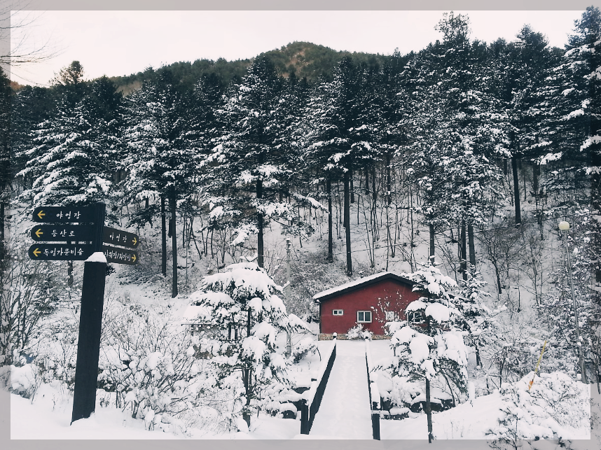 12월 겨울 국내 여행지 추천 총정리 BEST 10