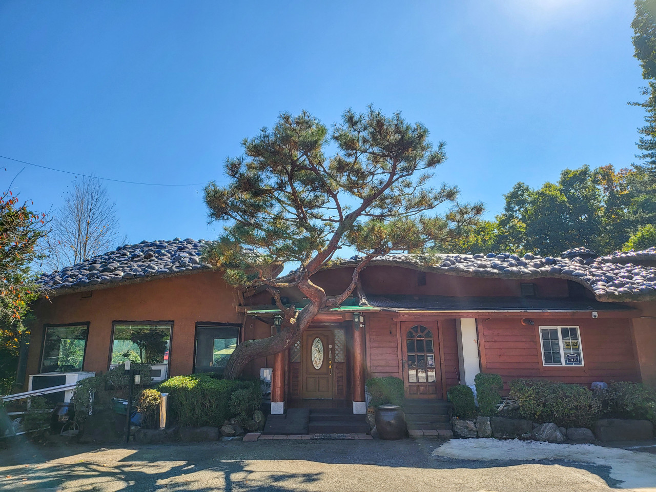 [5월 축제]포천 한탄강 가든페스타❘기간, 일정, 프로그램, 반려가족 여행지