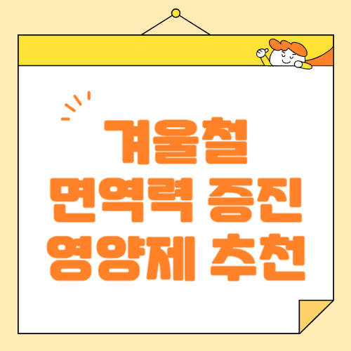 겨울 면역력 강화 면역력 올리는 영양제 추천, 주의사항