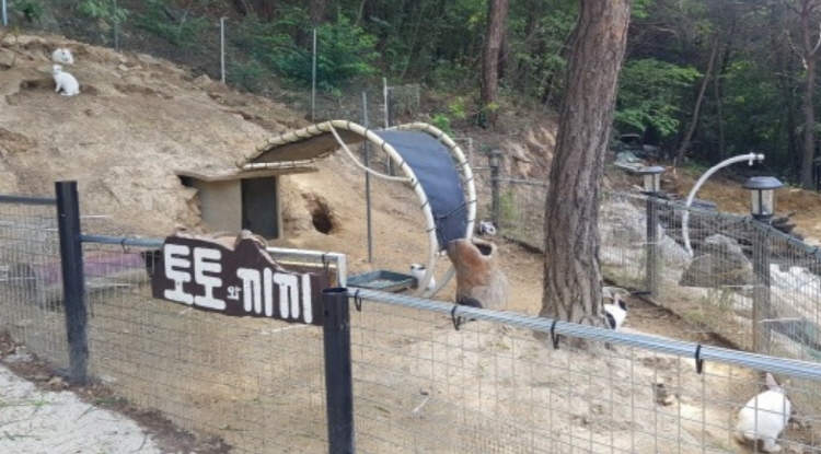 대성글램핑