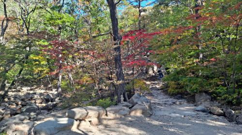 설악산_단풍여행_총정리