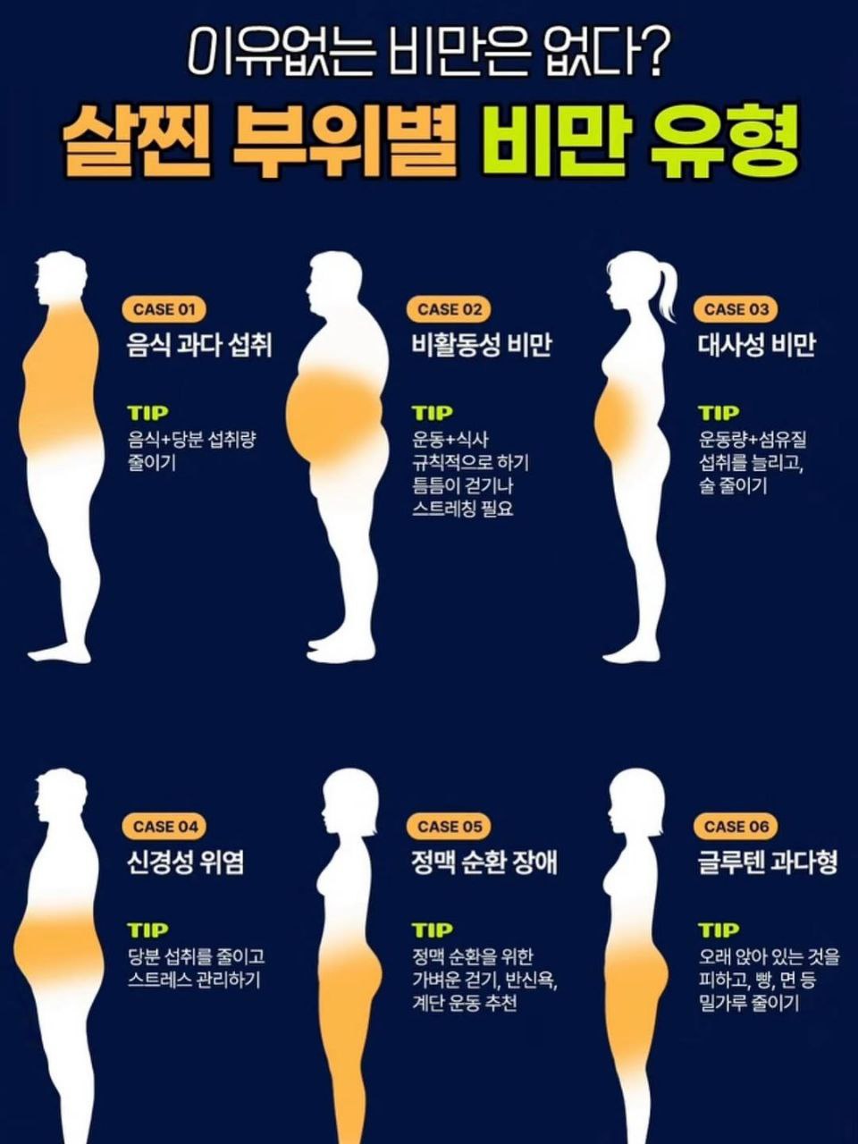 살 찐 부위별로 보는 비만 유형 6가지