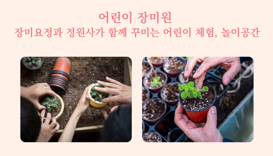 울산대공원 장미축제