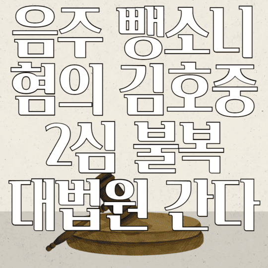 음주 뺑소니 혐의 김호중 2심불복 대법원 간다