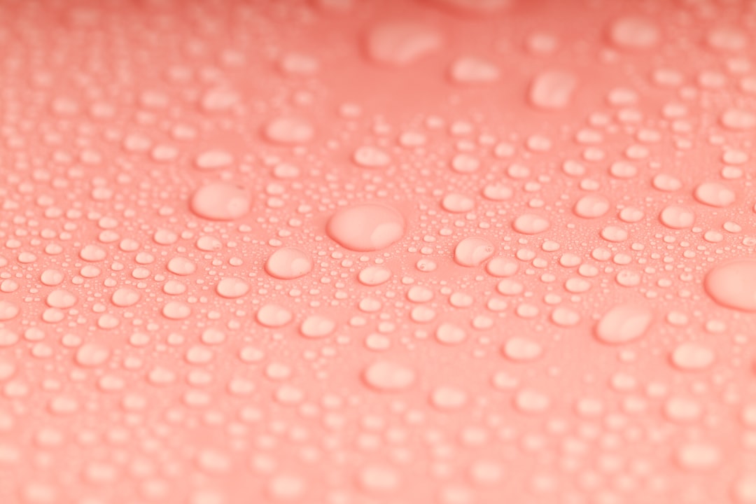 Moisture (습기)
