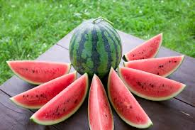 7월 제철음식 수박
