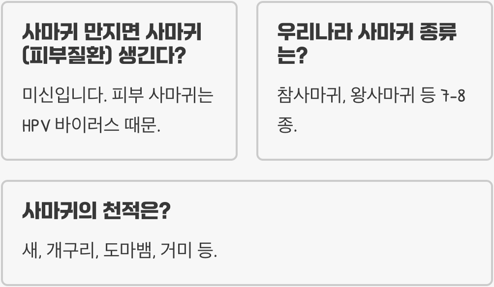 사마귀 물리면 아픈가요? 독성과 공격성에 대한 오해와 진실 총정리