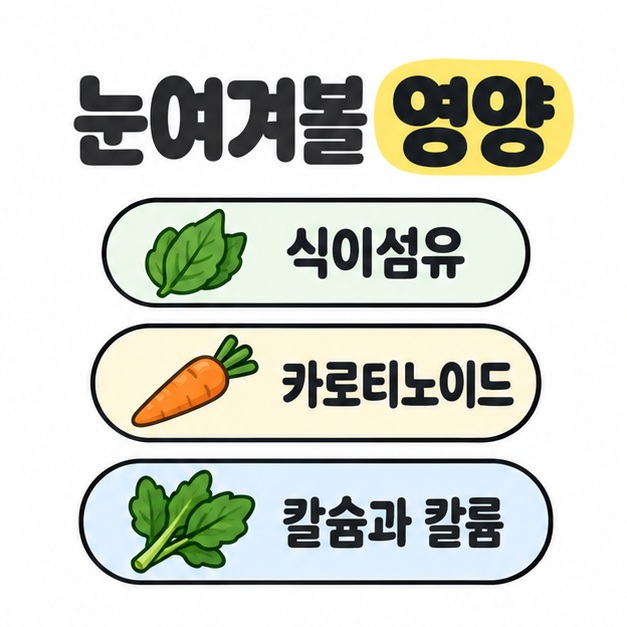 잎과 당근 삽화 옆에 식이섬유와 카로티노이드 및 칼슘과 칼륨을 주요 영양 성분으로 나열한 그림