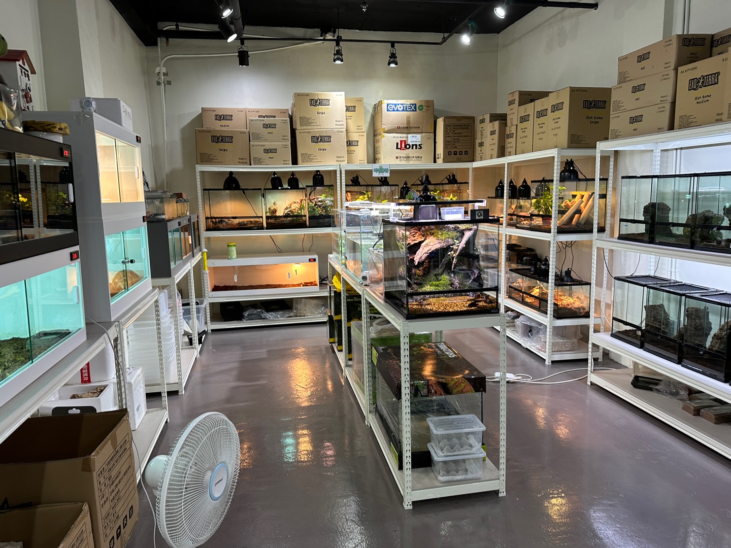 다이노마켓-내부-거북이와-개구리-각종-파충류가-전시되어있는-모습