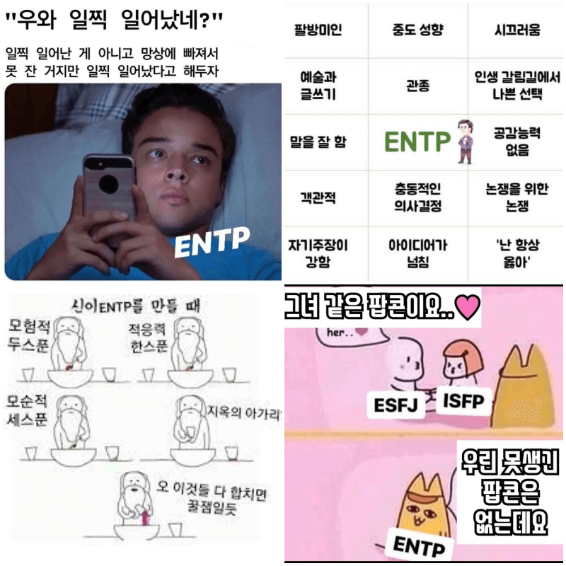 entp 짤 4개