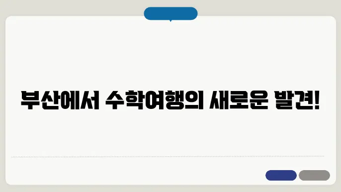부산 수학여행 코스