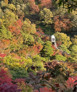 11월 국내여행지 추천 BEST 10