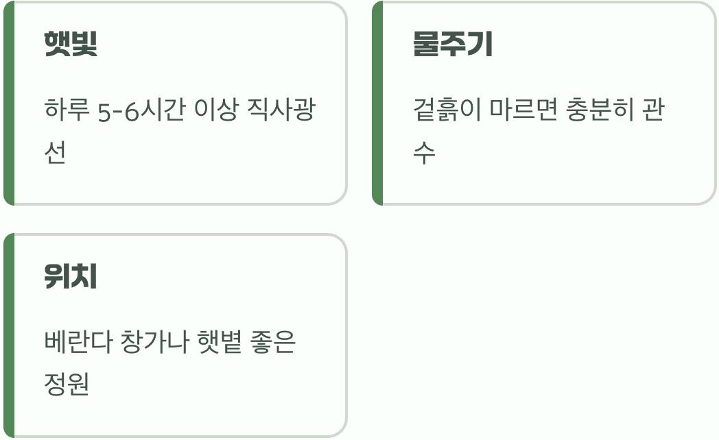 냥님이 좋아하는 명당자리