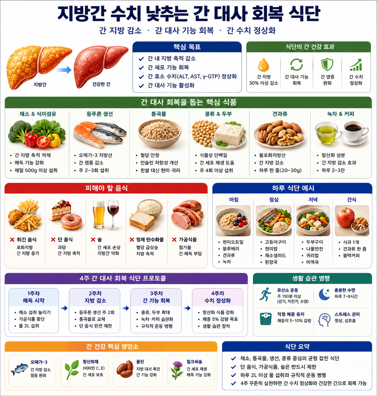 지방간 수치 낮추는 간 대사 회복 식단