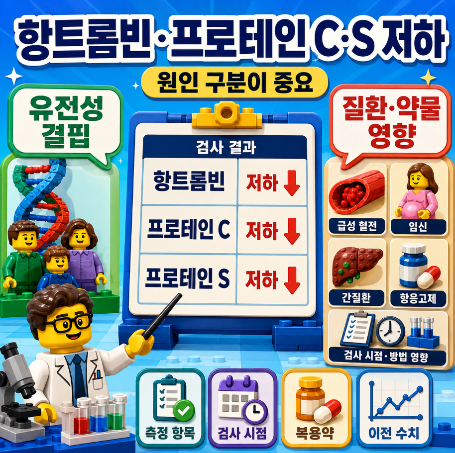 항트롬빈·프로테인 C·프로테인 S 검사에서 낮은 수치의 원인을 유전성과 질환 영향으로 구분하는 의료 인포그래픽
