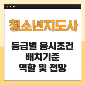 청소년지도사 등급별 응시조건 배치기준 역할