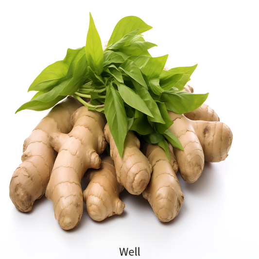 비염에 좋은음식