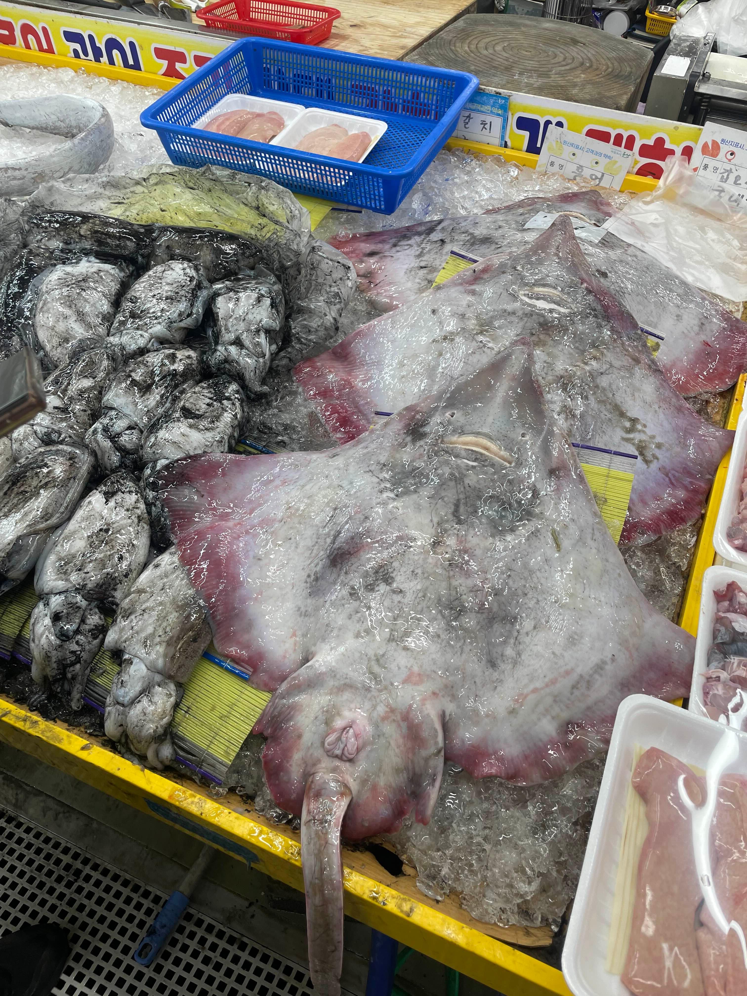군산여행 필수 코스 군산수산물종합센터
