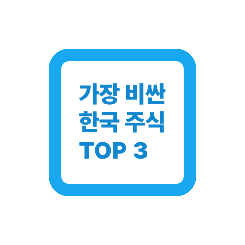 가장 비싼 한국 주식 TOP3