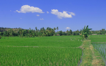 쿠팡 와우 월회비 7