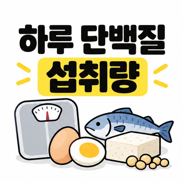 하루 단백질 섭취량 제목과 체중계, 단백질 식품을 보여주는 그림