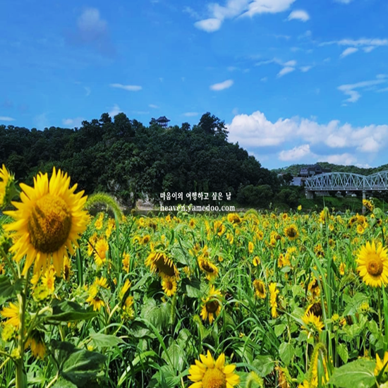 공주 가볼만한곳 베스트10