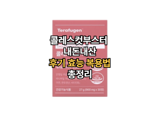 콜레스컷부스터-내돈내산-후기-효능-복용법
