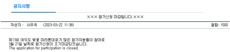 여의도 벚꽃 마라톤