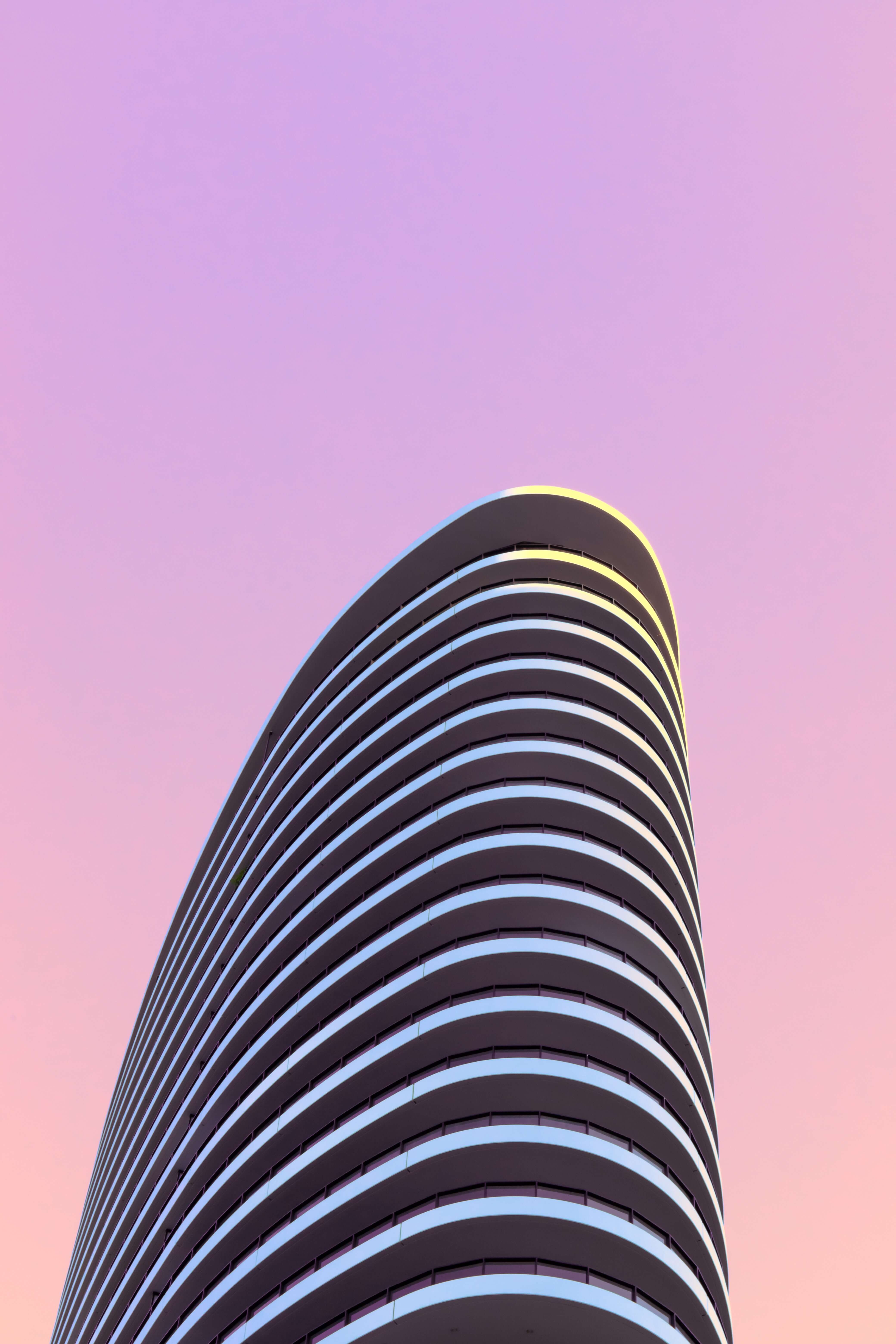 나무의사응시자격