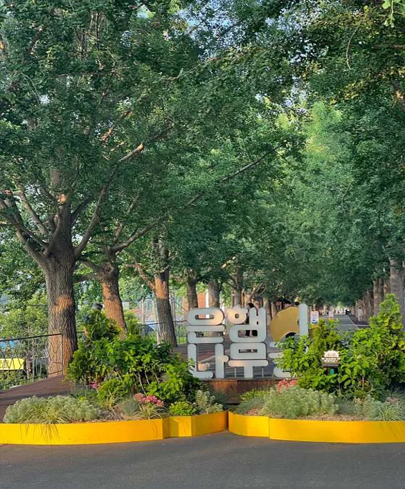 현충사곡교천은행나무길