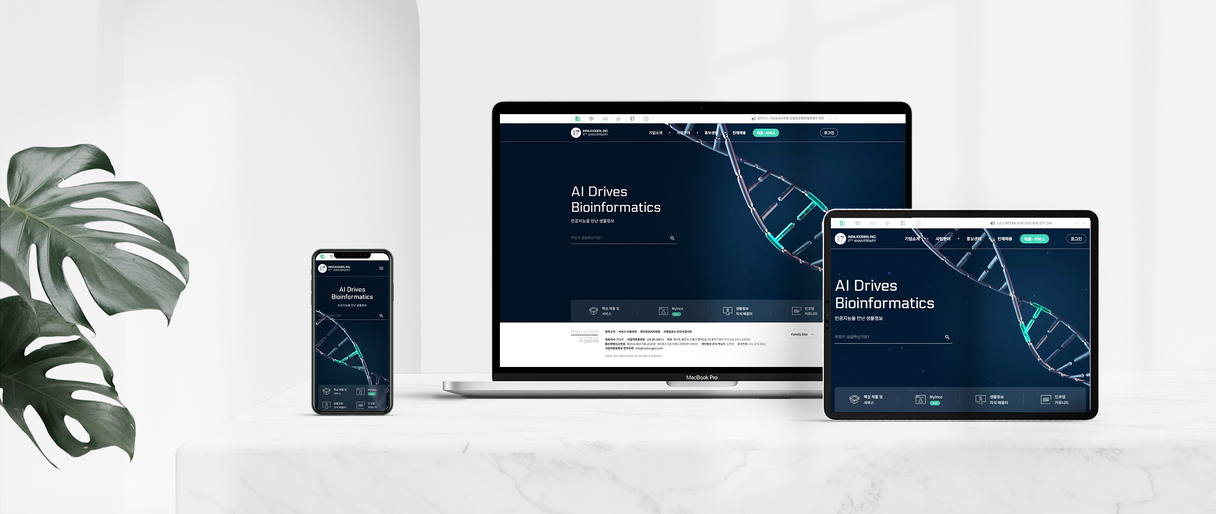 DNA 모티브 영상