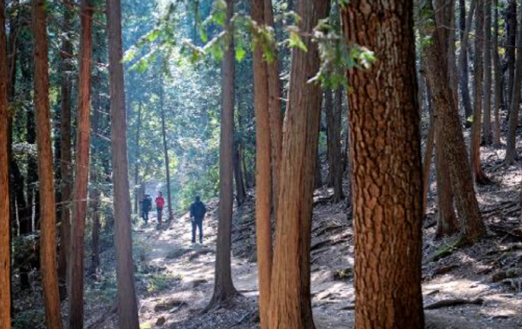 백양산 등산코스