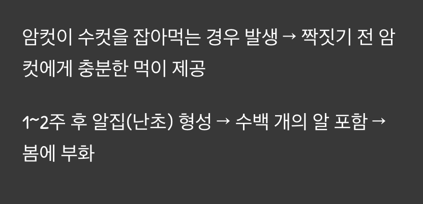 목숨을 건 사랑&amp;#44; 짝짓기와 산란