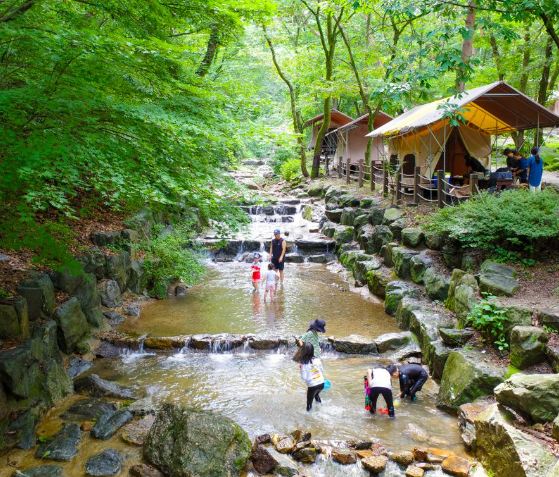 경기도계곡-계곡추천-서울대공원계곡
