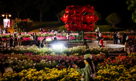 울산 장미축제 개화상황