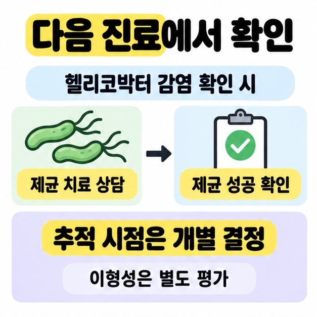 헬리코박터 감염 확인 시 제균 치료 상담에서 제균 성공 확인으로 이어지며 추적 시점은 개별 결정하고 이형성은 별도 평가함을 안내한다.