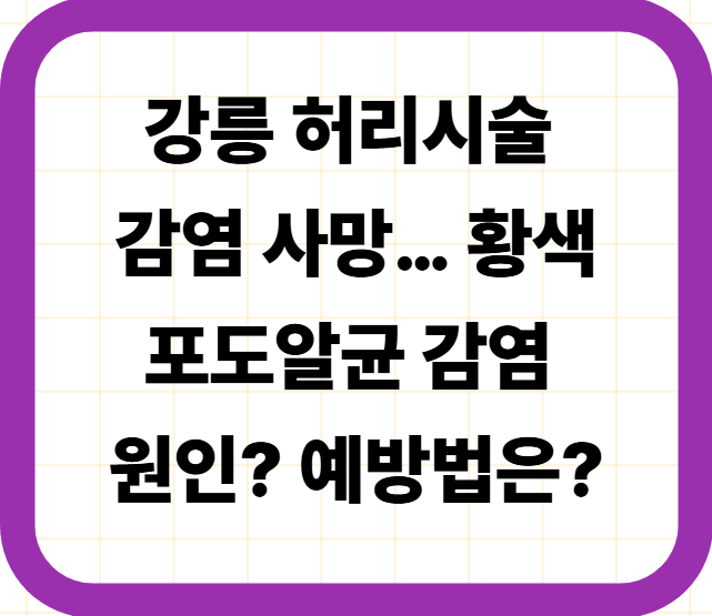 강릉 허리시술 감염 사망… 황색포도알균 감염 원인? 예방법은?