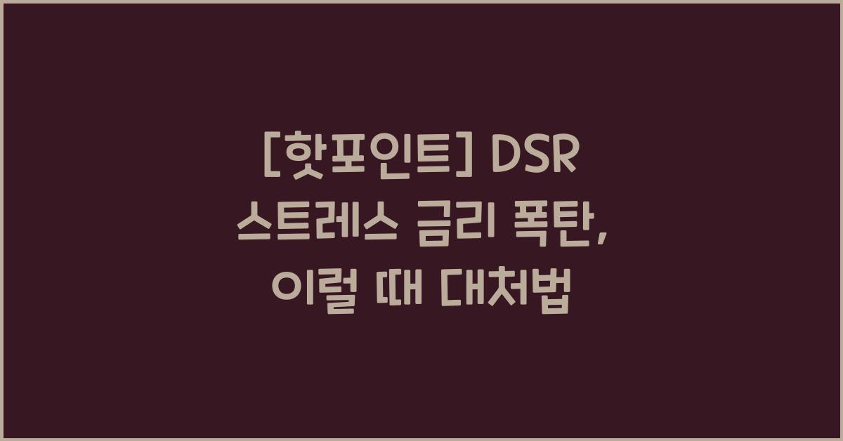 dsr 스트레스 금리