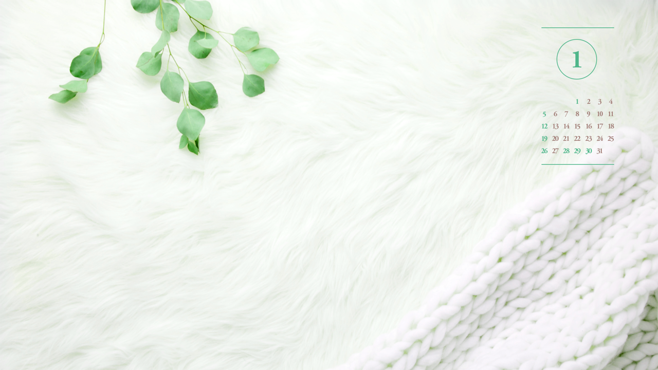 06 흰색 털 A - 2025년1월 노트북배경화면