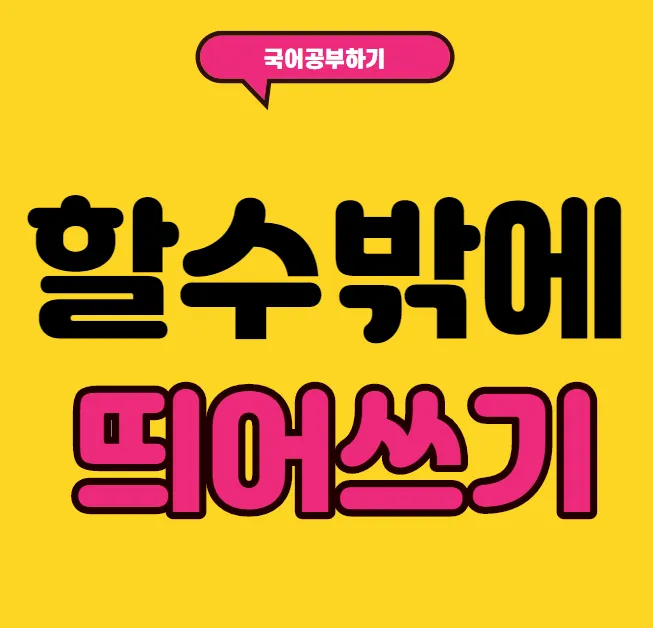 할 수 밖에 띄어쓰기 맞춤법 사용예시_2