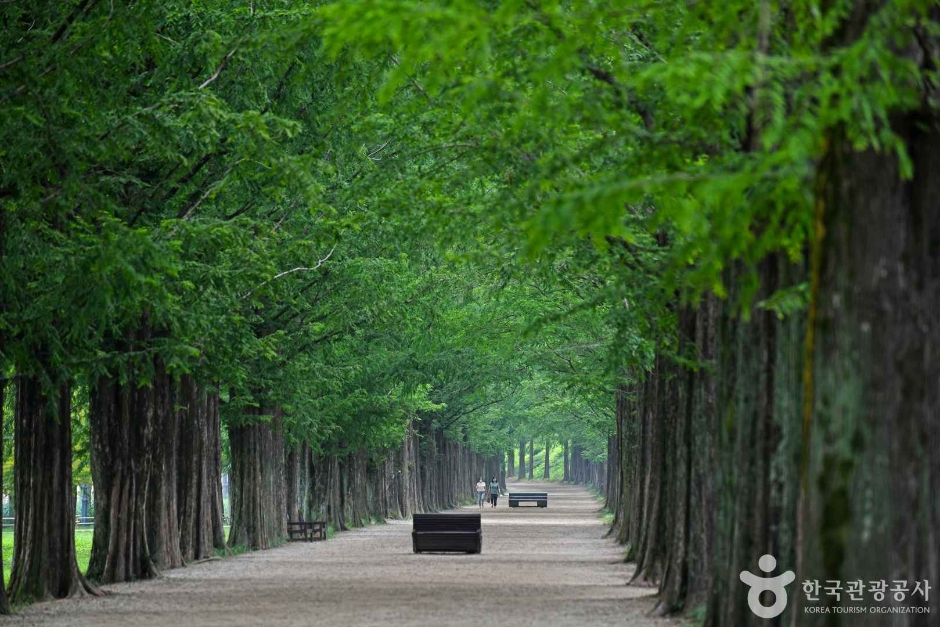담양 가볼만한곳 베스트10